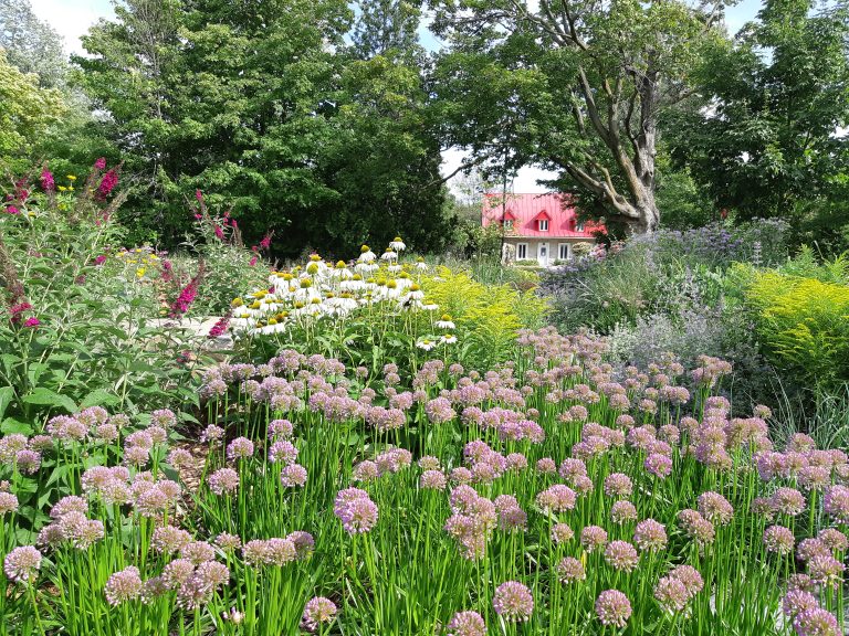 Vue de Rosemère, Québec — quartier résidentiel de la Rive-Nord